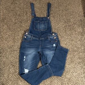 Wallflower Classic Blue Denim Overalls
